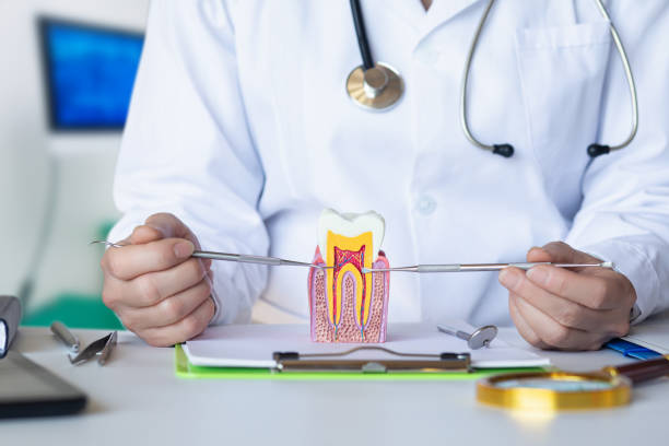 Best Emergency Treatment for Jaw Pain or Injury in Lester Prairie, MN